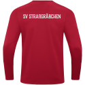 SV Straßgräbchen Kinder Sweat Power rot
