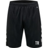 HV Chemnitz Shorts Herren