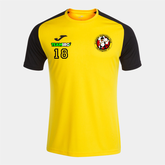 Freitaler Pinguine Junior  T-Shirt gelb/schwarz