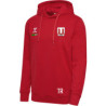 SG Motor Wilsdruff Handball Kinder Hoodie