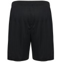 SG Motor Wilsdruff Handball Kinder Shorts schwarz