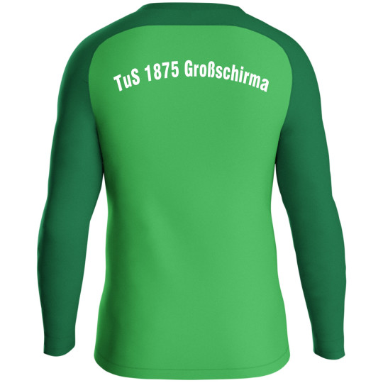 TuS Großschirma Herren Sweat