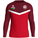 SG Wurgwitz Herren Sweatshirt rot/weinrot