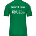 Wacker Leuben  Shirt Junior grün 
