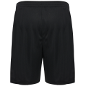 SV Lok Schleife Herren Trainingsshorts schwarz