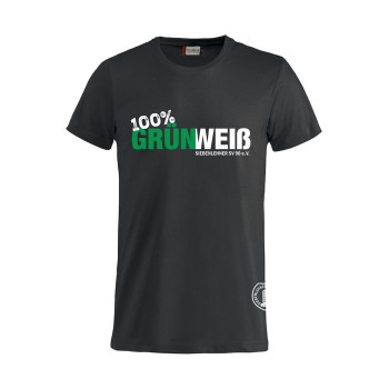Siebenlehner SV Herren T-Shirt schwarz "Grün Weiß"