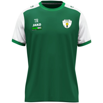 TSV Einheit Claußnitz Unisex Trikot grün/weiß