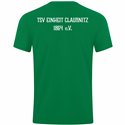 TSV Einheit Claußnitz Unisex T-Shirt Power grün 
