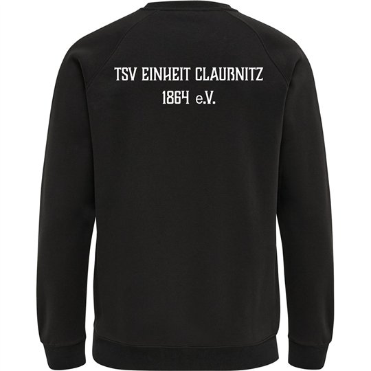 TSV Einheit Claußnitz Kinder Freizeit Pullover