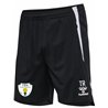 TSV Einheit Claußnitz Unisex Training Shorts