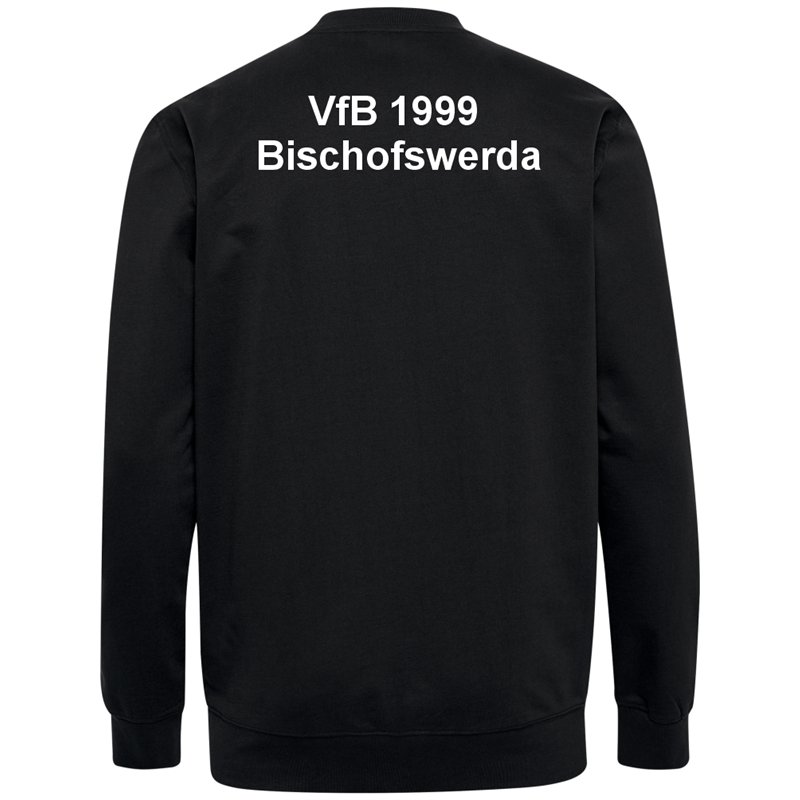 VfB 1999 Bischofswerda Kinder Sweatshirt