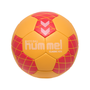 VfB 1999 Bischofswerda Handball