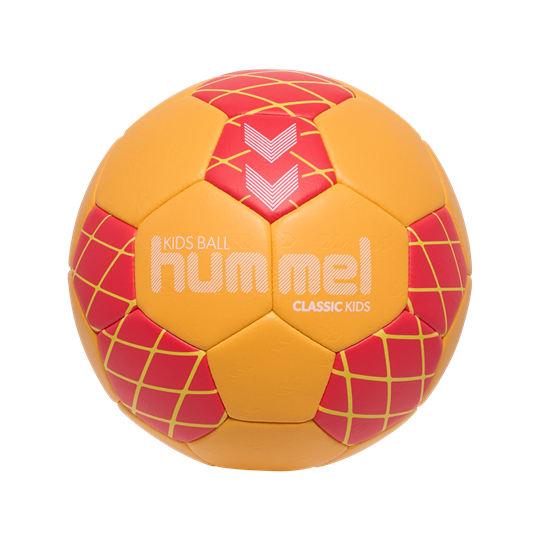 VfB 1999 Bischofswerda Handball