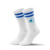 BC Dresden Socken mit Logo