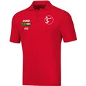 DFC 1998 Poloshirt Baumwolle Herren
