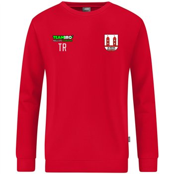 SG Motor Wilsdruff Fußball Pullover Unisex