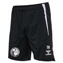 1. VV Freiberg Kinder Training Shorts