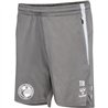 1. VV Freiberg Damen Training Shorts