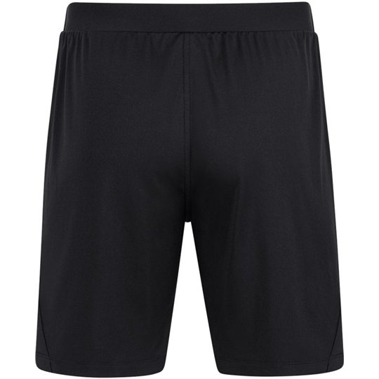 SG 90 Braunsdorf Trainingshose kurz Herren