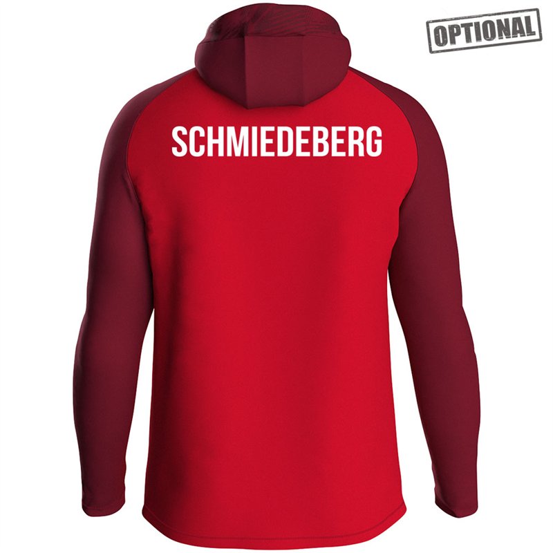 SG Stahl Schmiedeberg Kapuzenjacke Iconic Herren