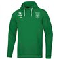 HSV Empor Hoodie Herren grün