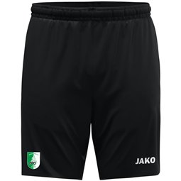 SV Deutschenbora Präsentationsshort Kinder schwarz
